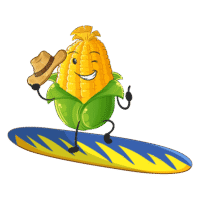 image1.png